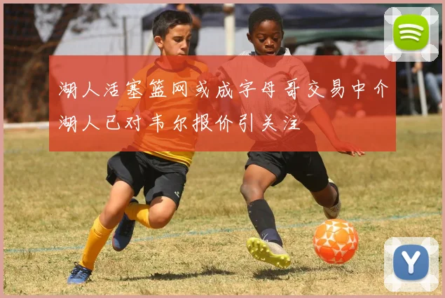 湖人活塞篮网或成字母哥交易中介湖人已对韦尔报价引关注